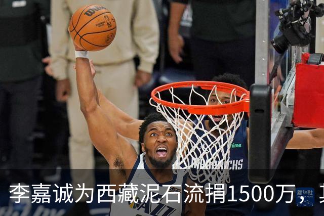 李嘉诚为西藏泥石流捐1500万，其他都是公司捐款，只有李嘉诚是个人